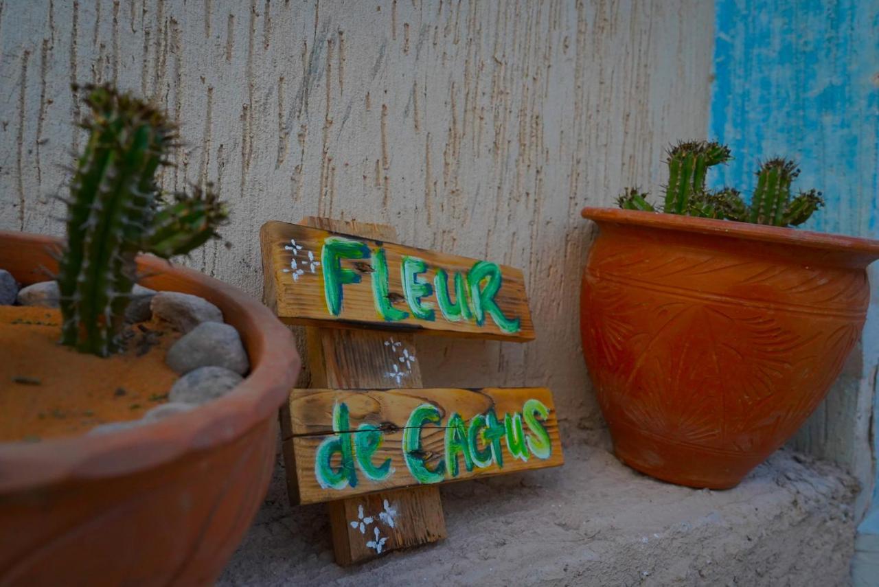 Fleur De Cactus, Guesthouse, Tamraght エクステリア 写真